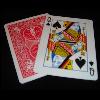 CARTAS VIAJANTES