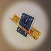 CARD THRU BILL 2.0 BY NETMAGICAS