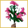 BENGALA EM FLORES