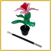 APARIÇÃO MÁGICA DA FLOR