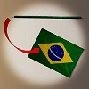 MINI BENGALA EM BANDEIRA