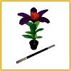 APARIÇÃO MÁGICA DA FLOR (MÉDIO)