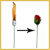 TORCH TO ROSE (TOCHA EM ROSA)